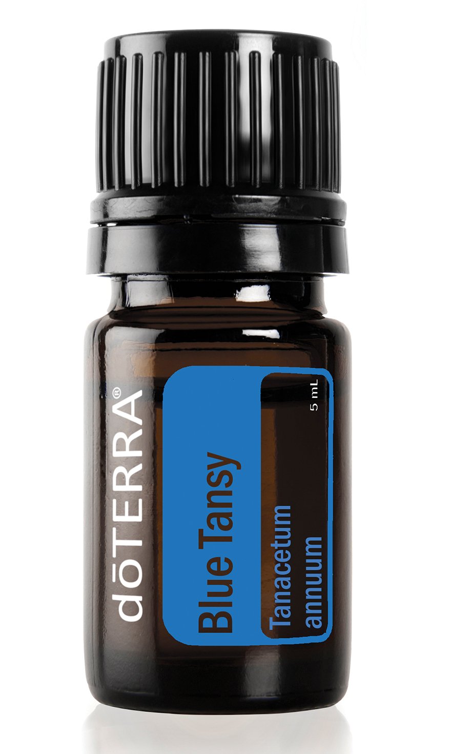 Blue Tansy (Boerenwormkruid)